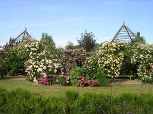 Les jardins de Roquelin et les roses © Les Jardins de Roquelin - S.Chassine