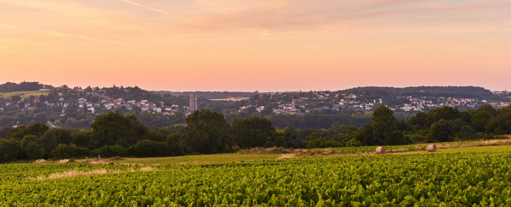paysage de Loire